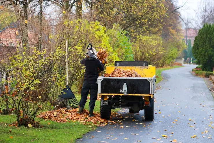 yard waste removal cost estimate with leaves and branches being loaded into a truck